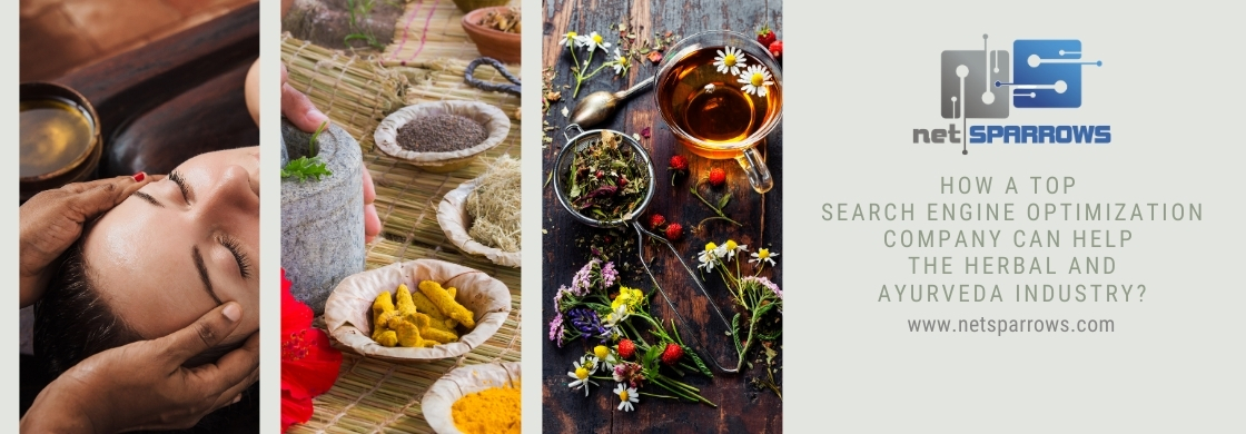 How a top search engine optimization company can help the herbal and ayurveda industry?